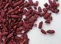 Read more about the article Can Red Yeast Rice Lower Cholesterol?